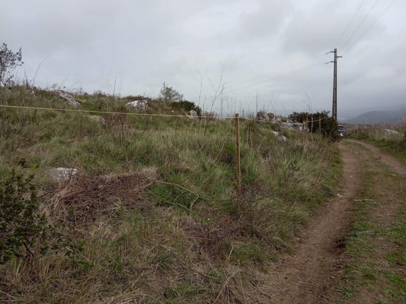 Terreno em Loures (virado a sul)