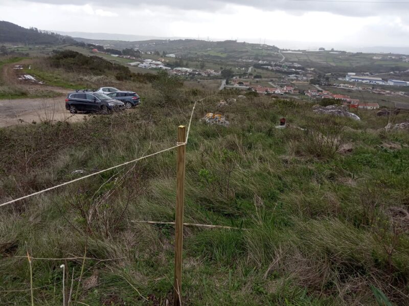 Terreno em Loures (virado a sul)