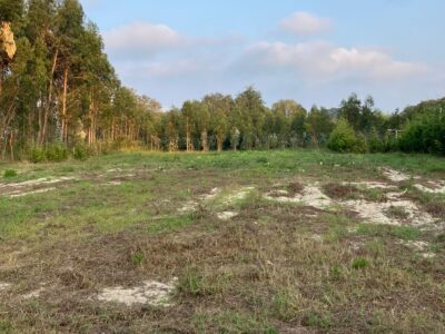 Clean land available for rent in the village of Vagos, Portugal