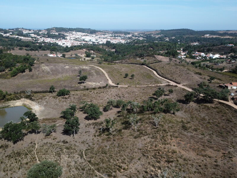 Terrain Sao Teotonio 25ha