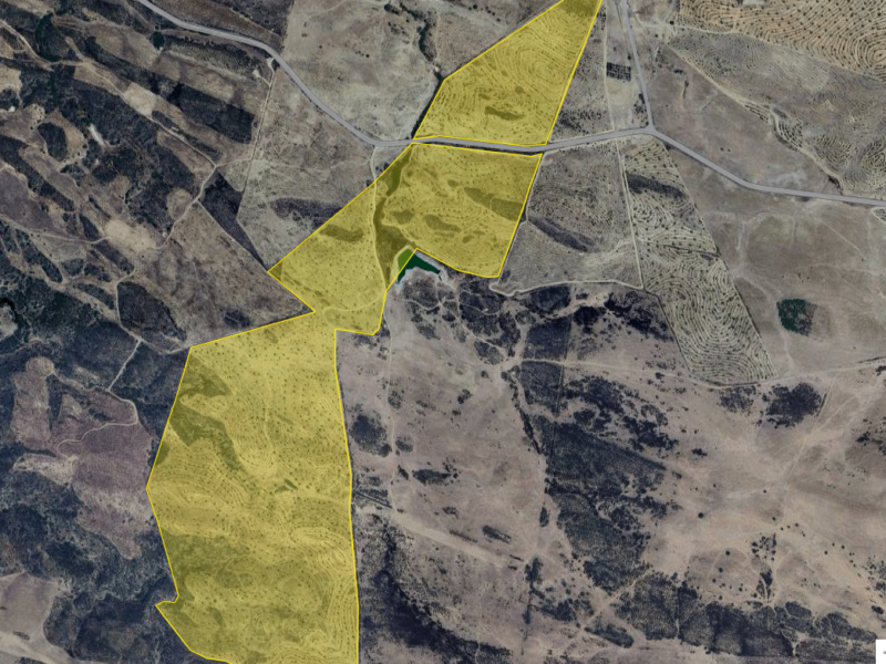 Land for rent In Mértola