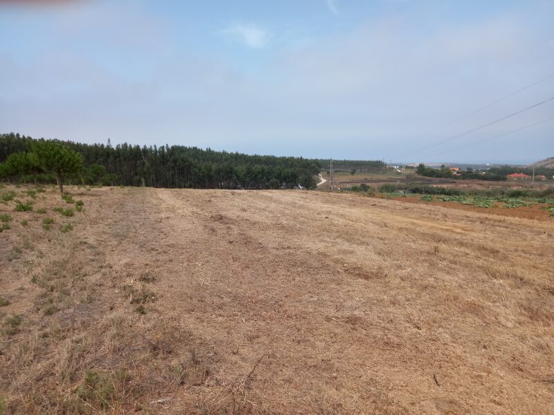 Terrenos - TORRES VEDRAS