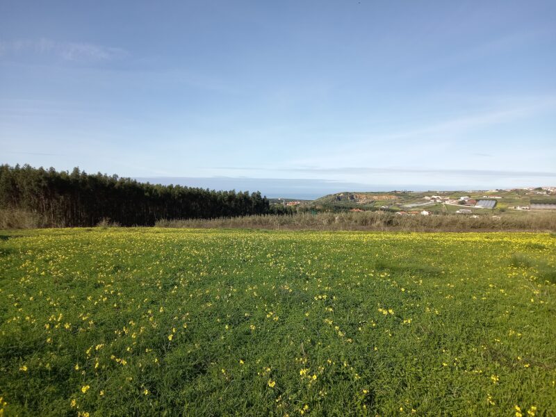 Terrenos - TORRES VEDRAS