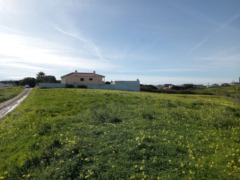 Terrenos - TORRES VEDRAS