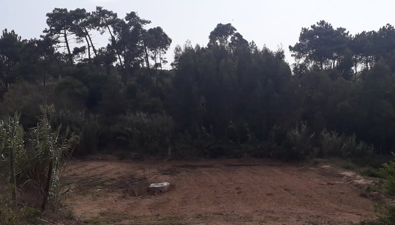 Terrenos - TORRES VEDRAS