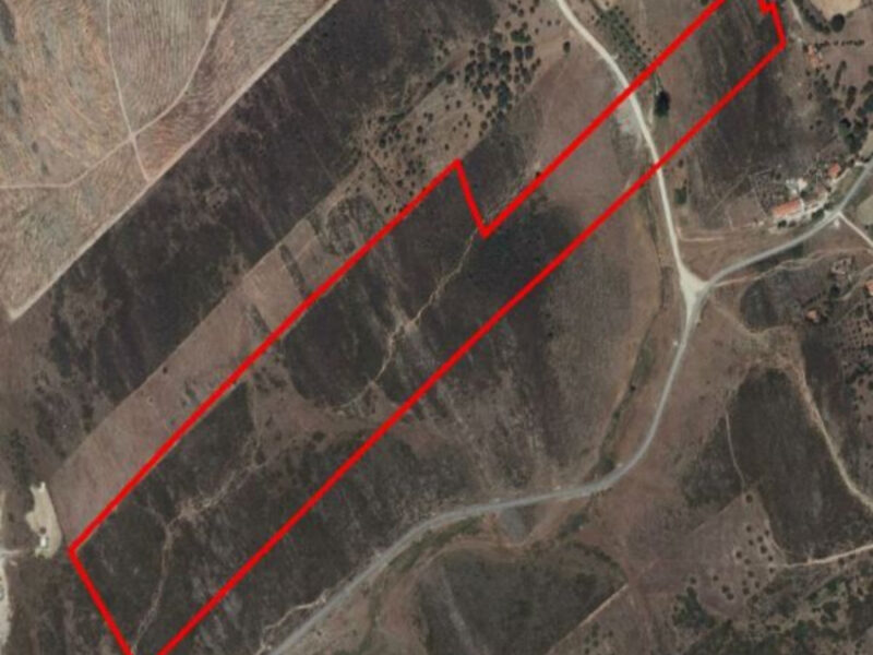 Land for Rent in Alandroal