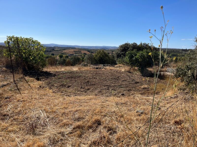 Terreno com excelnte exposição solar ao longo do ano