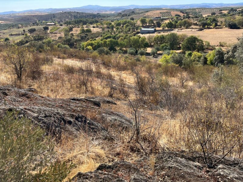 Terreno com excelnte exposição solar ao longo do ano