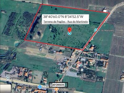 Aluga-se Terreno Florestal - Pegões/Afonsos