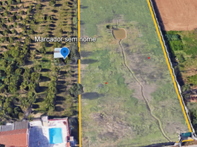 Arrendo Terreno em Silves 5000m2