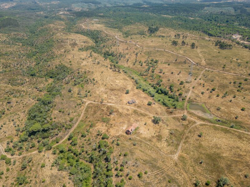 Terreno para Parque Solar – 92,5 ha com ligação à rede no local – Santiago do Cacém / Sines