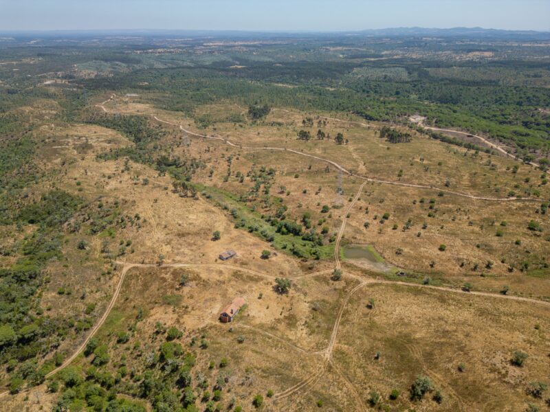 Terreno para Parque Solar – 92,5 ha com ligação à rede no local – Santiago do Cacém / Sines