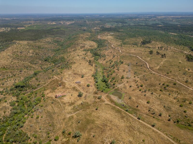 Terreno para Parque Solar – 92,5 ha com ligação à rede no local – Santiago do Cacém / Sines
