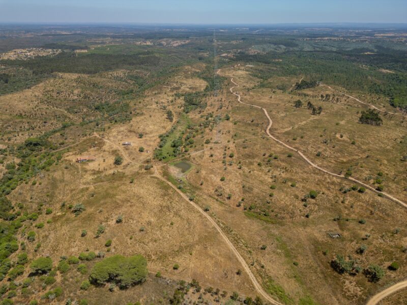 Terreno para Parque Solar – 92,5 ha com ligação à rede no local – Santiago do Cacém / Sines
