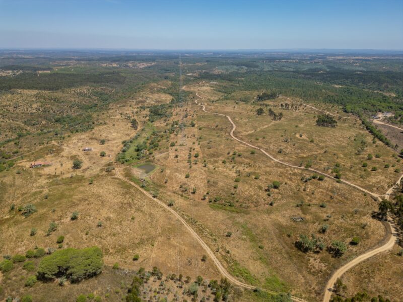 Terreno para Parque Solar – 92,5 ha com ligação à rede no local – Santiago do Cacém / Sines