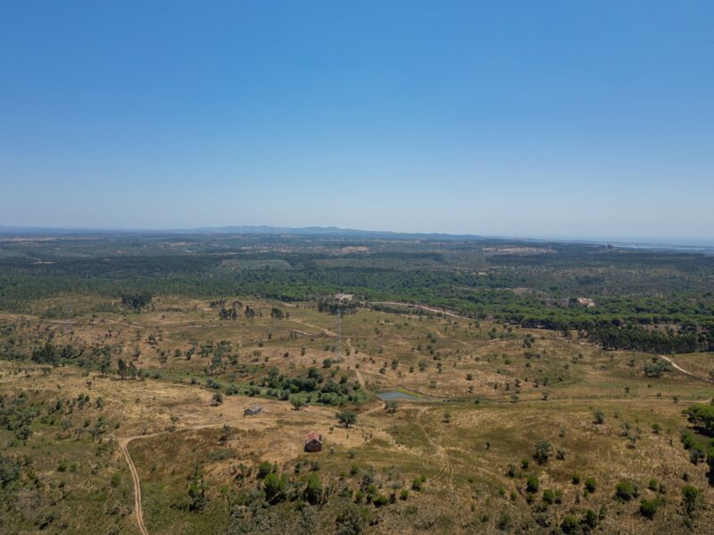Terreno para Parque Solar – 92,5 ha com ligação à rede no local – Santiago do Cacém / Sines