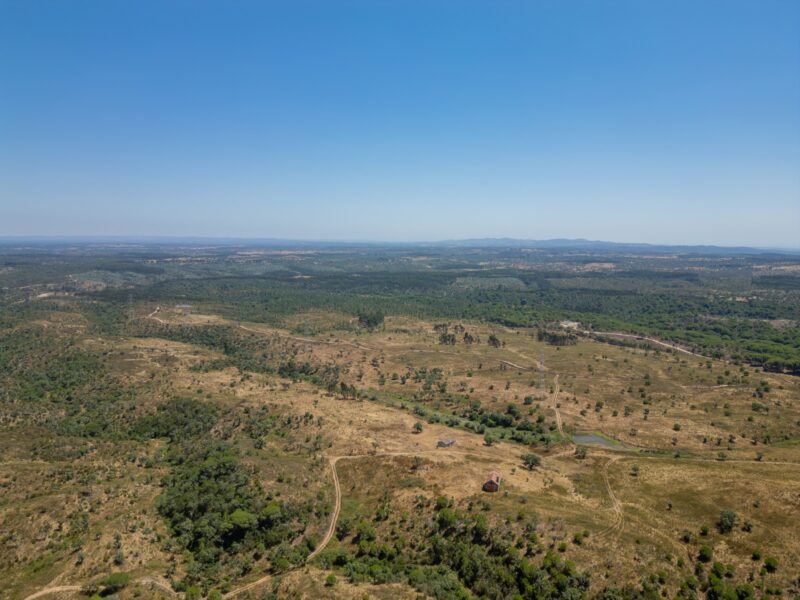Terreno para Parque Solar – 92,5 ha com ligação à rede no local – Santiago do Cacém / Sines