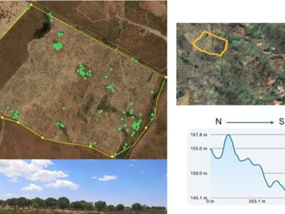 Land available for a photovoltaic solar plant ≈ 114.5 ha in Ourique, Baixo Alentejo — with a 60 kV grid connection already planned