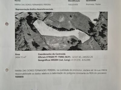 Terreno para alugar a painéis solares fotovoltaicos