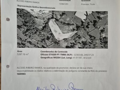 Terreno para alugar a painéis solares fotovoltaicos