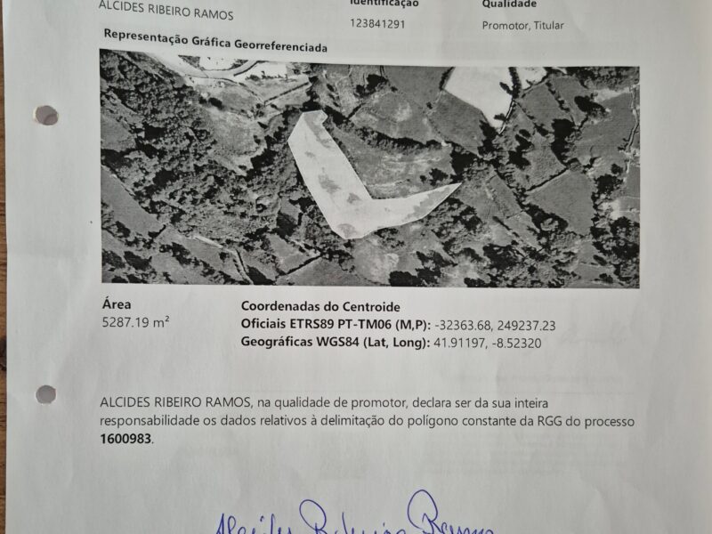 Terreno para alugar a painéis solares fotovoltaicos