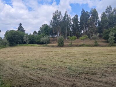 Land rental for solar panels
