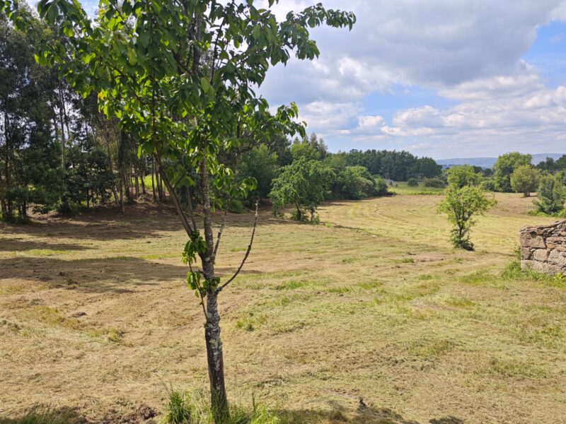 Land rental for solar panels