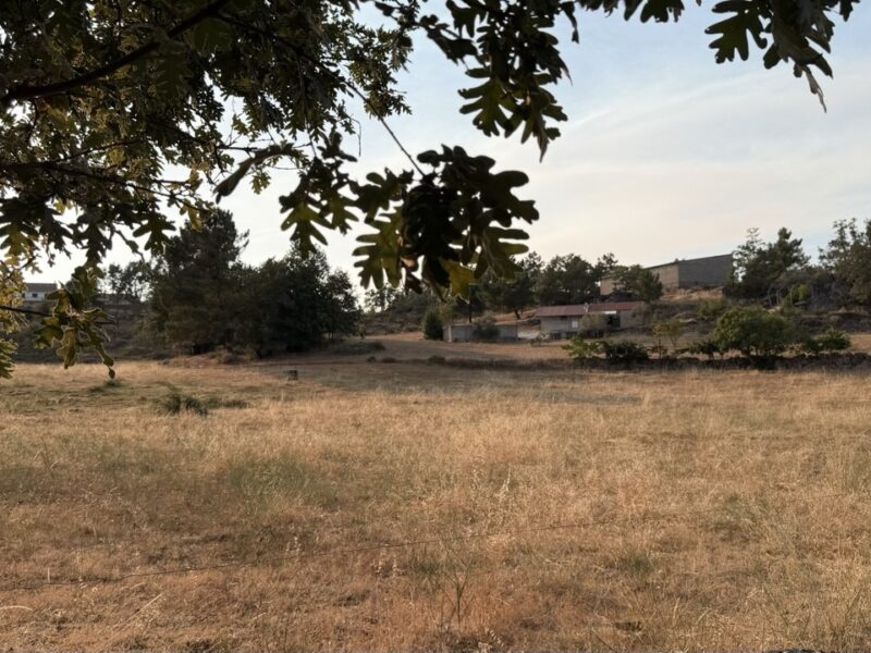 Quinta do Lameirão